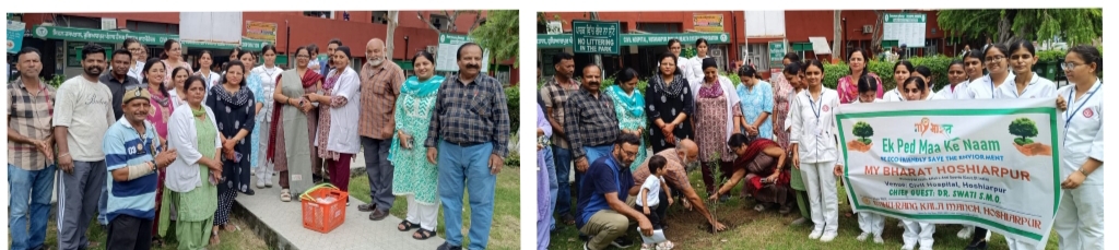 Planting and maintaining trees is the most important need of today-Dr. Swati Shimar